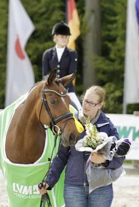 Echo Equine 1