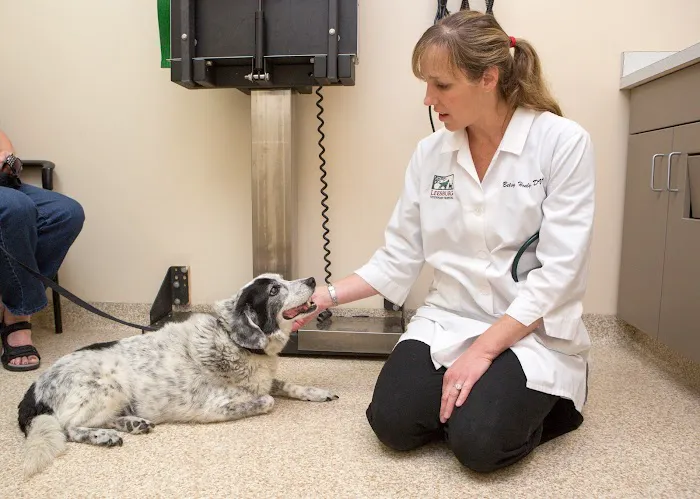 Leesburg Veterinary Hospital, A Thrive Pet Healthcare Partner 7