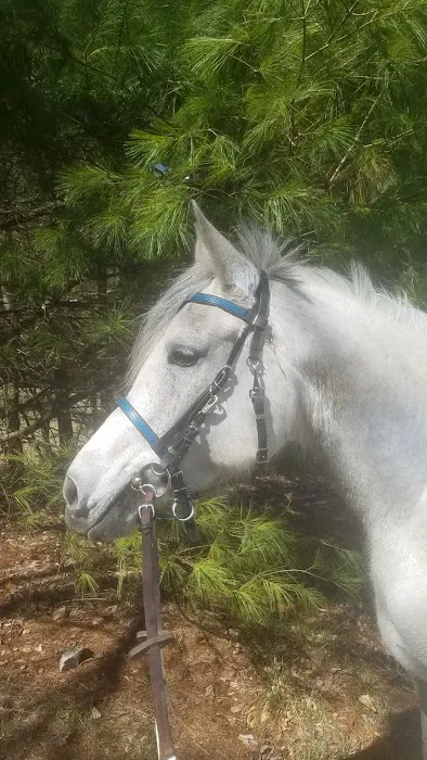 Hartland Equine Veterinary Services, PLLC 2