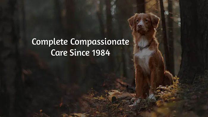 West Frederick Veterinary Hospital 3