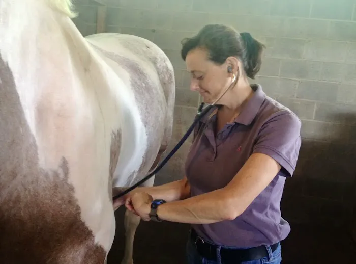 Horizon Equine Vet Services LLC 12
