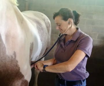 Horizon Equine Vet Services LLC