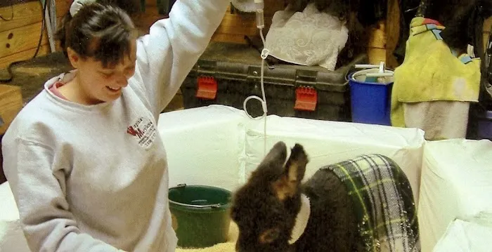 Horizon Equine Vet Services LLC 12