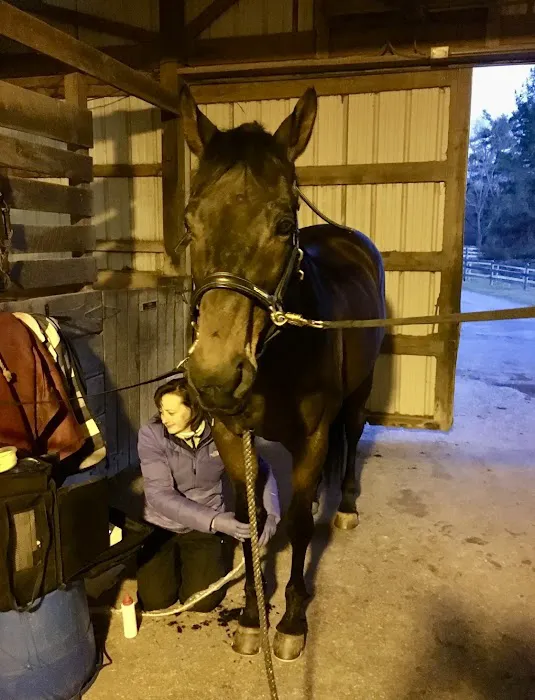 Horizon Equine Vet Services LLC 12