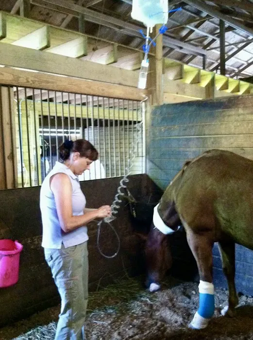 Horizon Equine Vet Services LLC 12