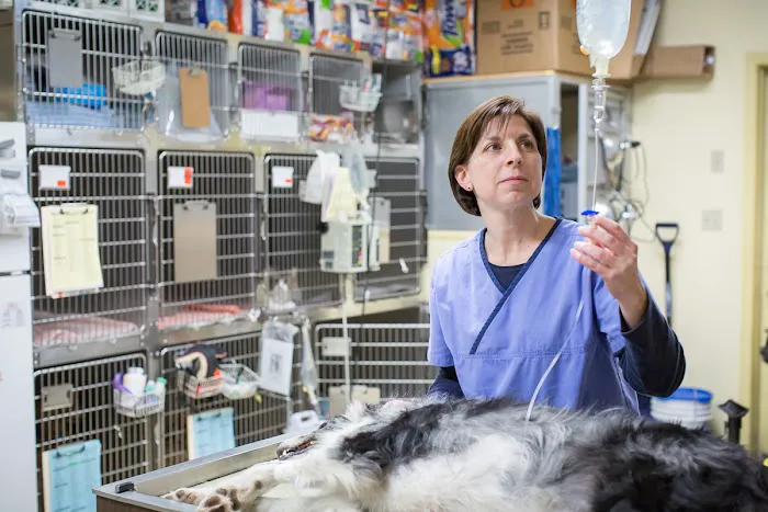 Jefferson Veterinary Hospital 12