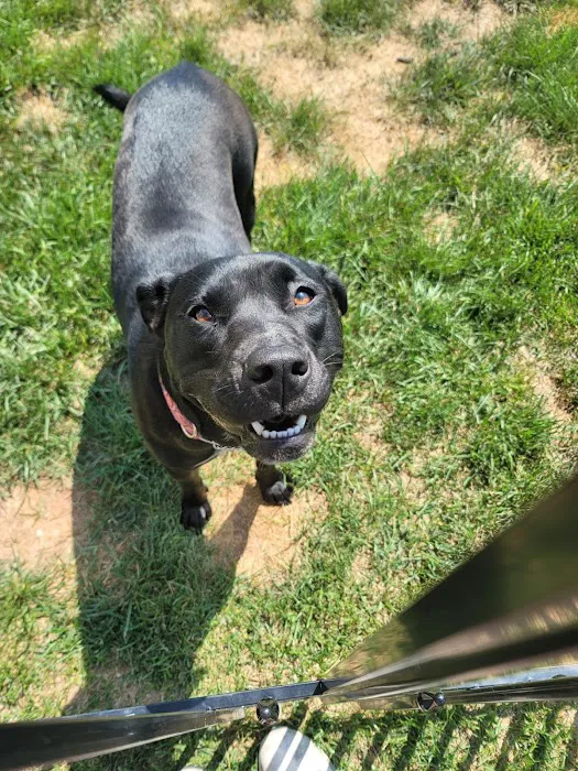 Jefferson Veterinary Hospital 12