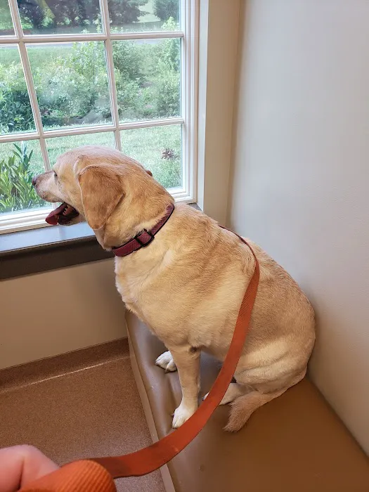 Jefferson Veterinary Hospital 12