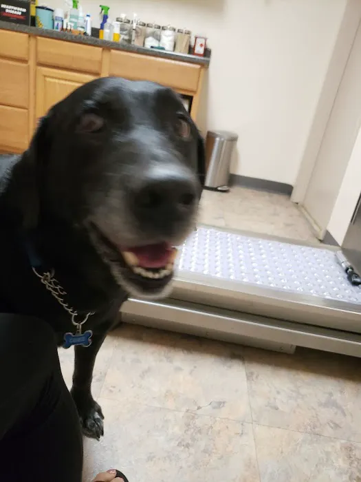 Animal Hospital of West Manheim 12