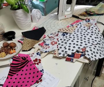 The Pet Pedi Sock LLC