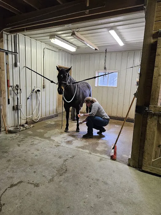Green Glen Equine Hospital 12