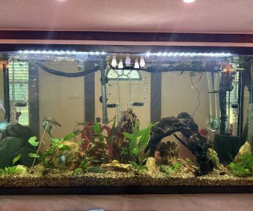 Infinite Aquatics