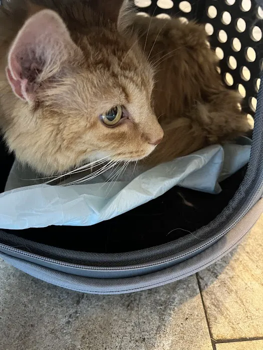 Paws Animal Hospital 12