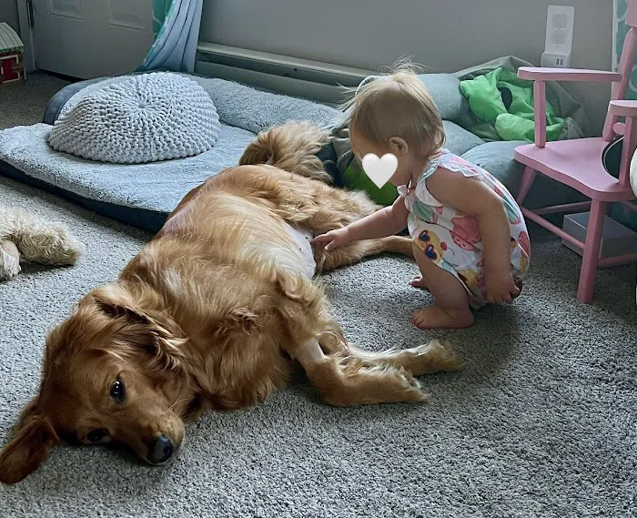 Paws Animal Hospital 12