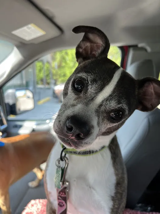 Paws Animal Hospital 12