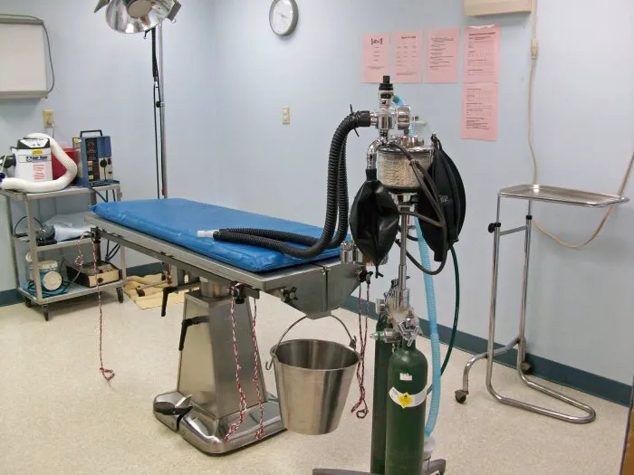 VCA Conewago Animal Hospital 12