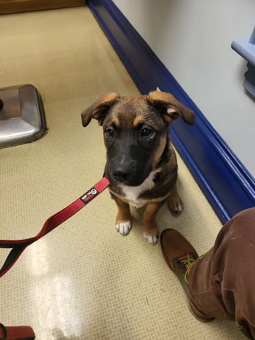 Hanover Veterinary Hospital 12