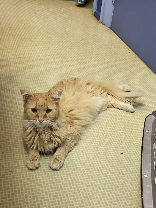Hanover Veterinary Hospital 12