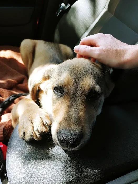 Hanover Veterinary Hospital 12