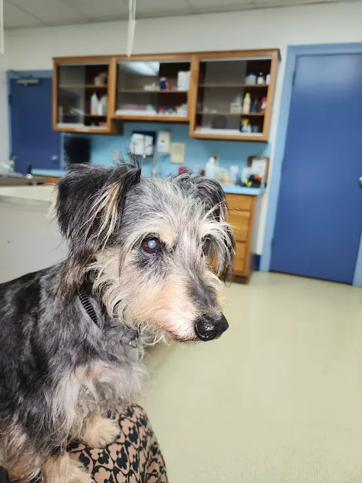 Hanover Veterinary Hospital 12