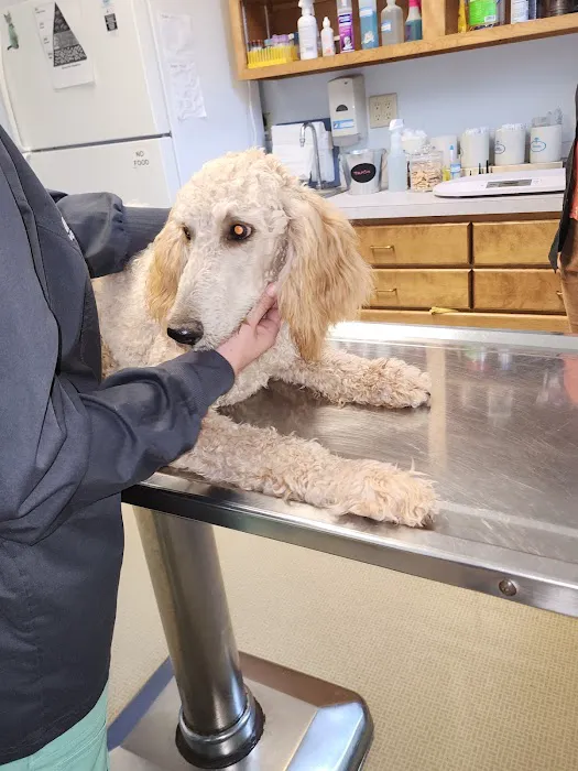 Hanover Veterinary Hospital 12