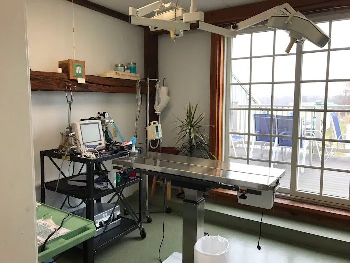 Littlestown Veterinary Hospital 12