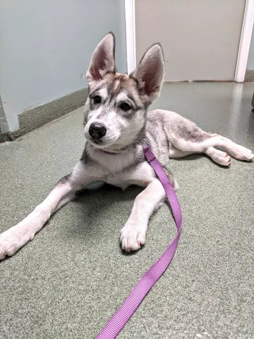 Littlestown Veterinary Hospital 12