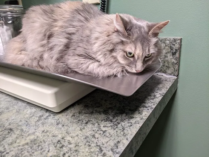Littlestown Veterinary Hospital 12