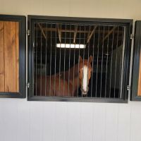 Foxhall Equine ico