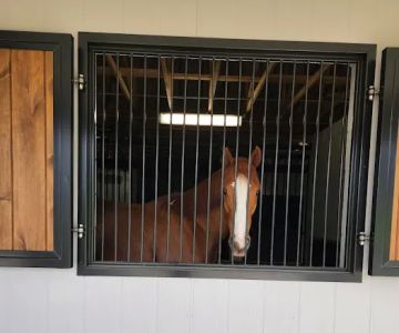 Foxhall Equine