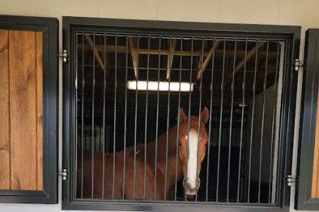 Foxhall Equine