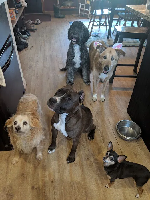 Madonna Veterinary Clinic Inc 12