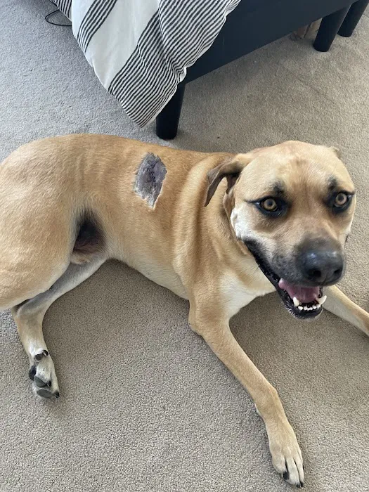 Pleasantville Animal Hospital of Fallston 12
