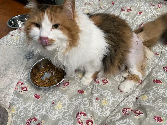 Pleasantville Animal Hospital of Fallston 12