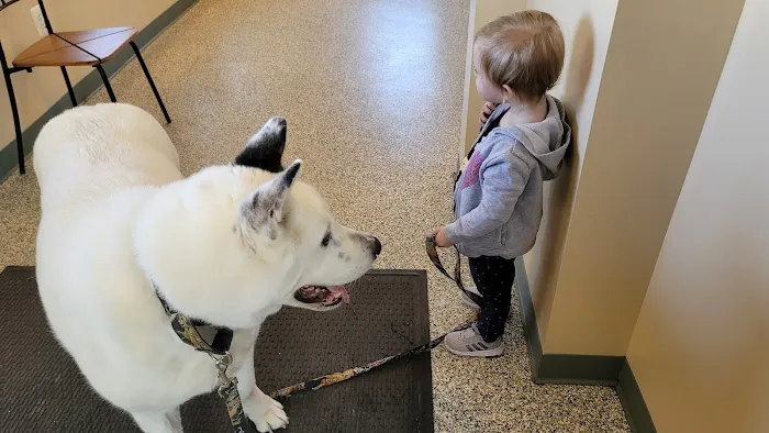 Long Green Animal Dermatology Center, P.C. 12