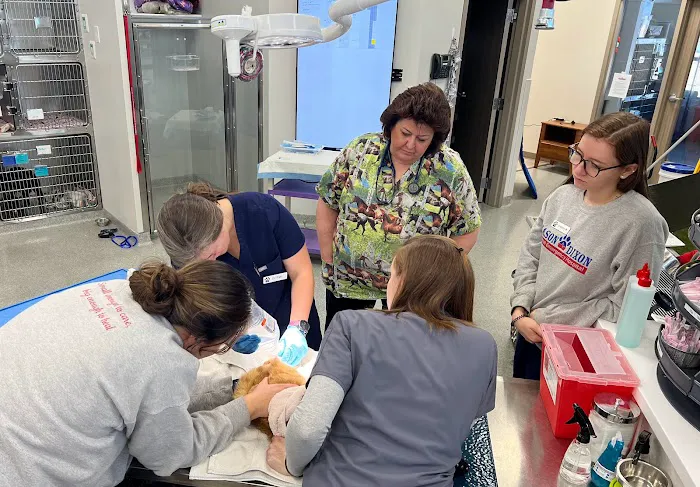 Mason Dixon Animal Emergency Hospital 12