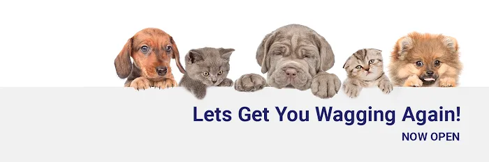 Mason Dixon Animal Emergency Hospital 12
