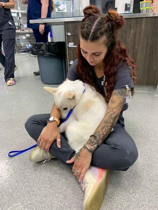 Mason Dixon Animal Emergency Hospital 12