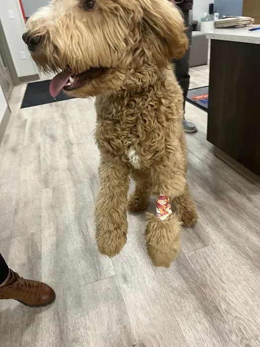 Mason Dixon Animal Emergency Hospital 12