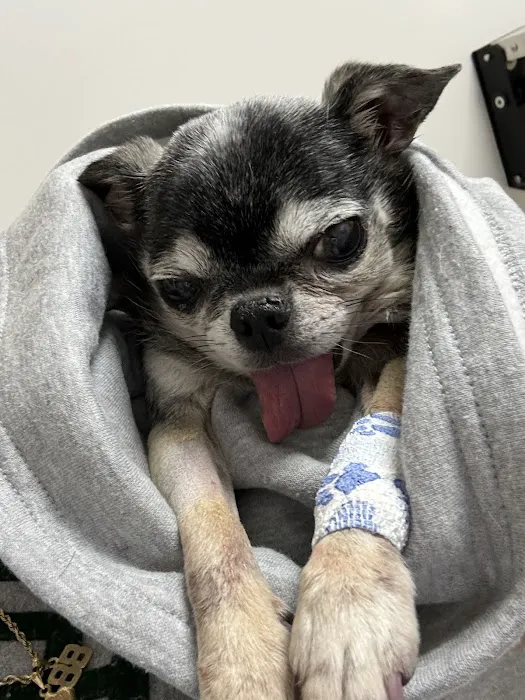 Mason Dixon Animal Emergency Hospital 12