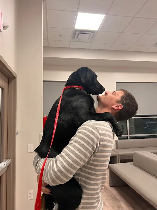 Mason Dixon Animal Emergency Hospital 12