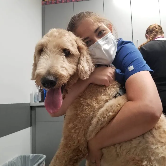 PetVet Vaccination Clinic 12