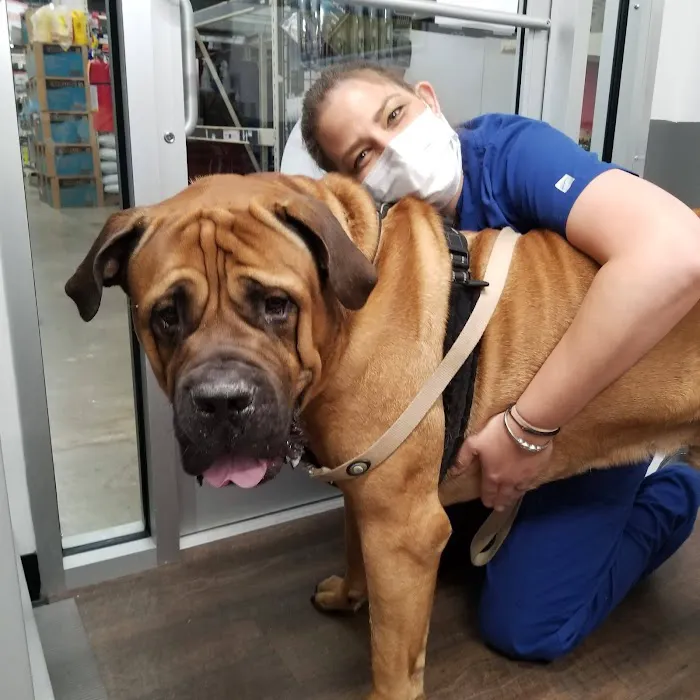 PetVet Vaccination Clinic 12