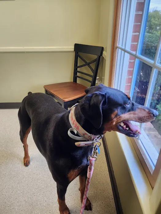 Shrewsbury Veterinary Clinic 12