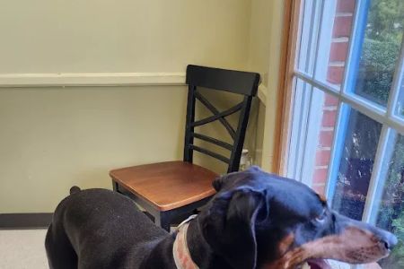 Shrewsbury Veterinary Clinic