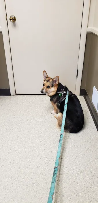 Shrewsbury Veterinary Clinic 12