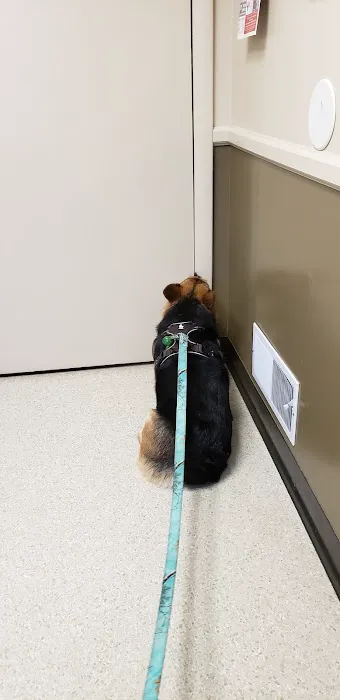 Shrewsbury Veterinary Clinic 12
