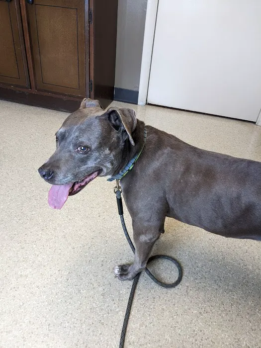 Shrewsbury Veterinary Clinic 12