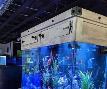 The Fish Bowl and More