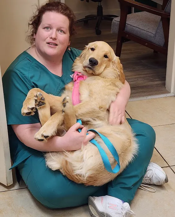 VCA Old Trail Animal Hospital 12